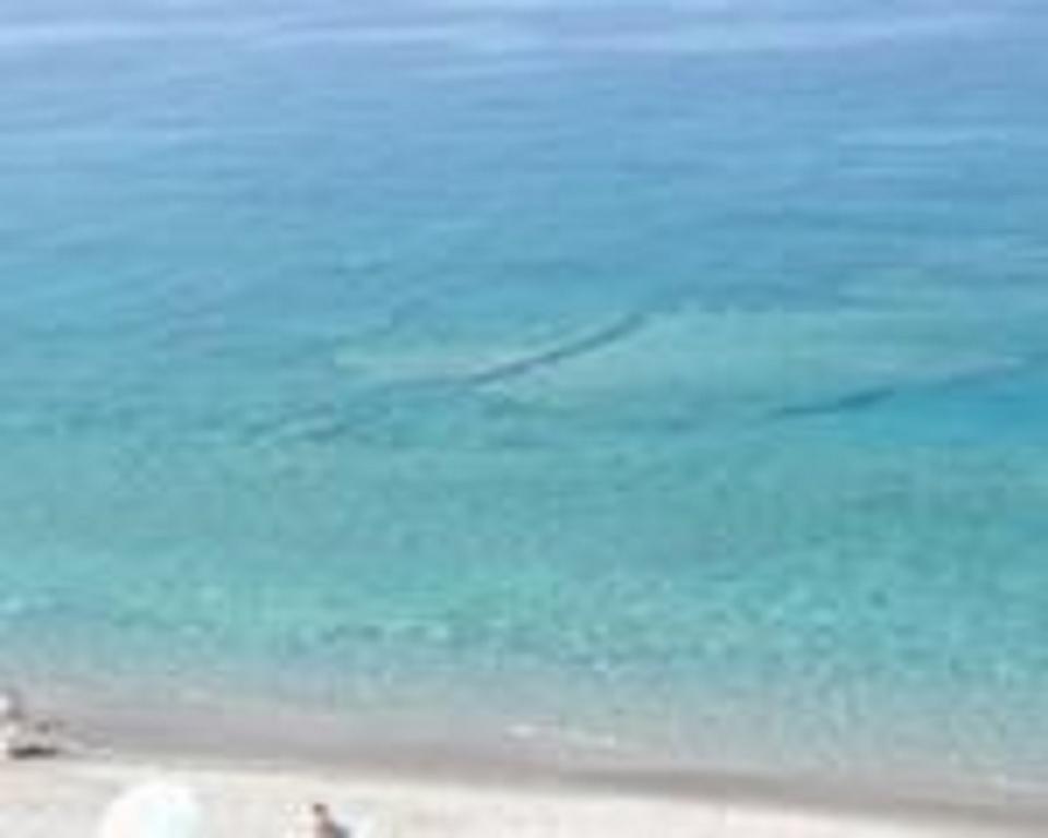 Terrazza Sul Mare Apartment จอโยซามาเรอา ภายนอก รูปภาพ